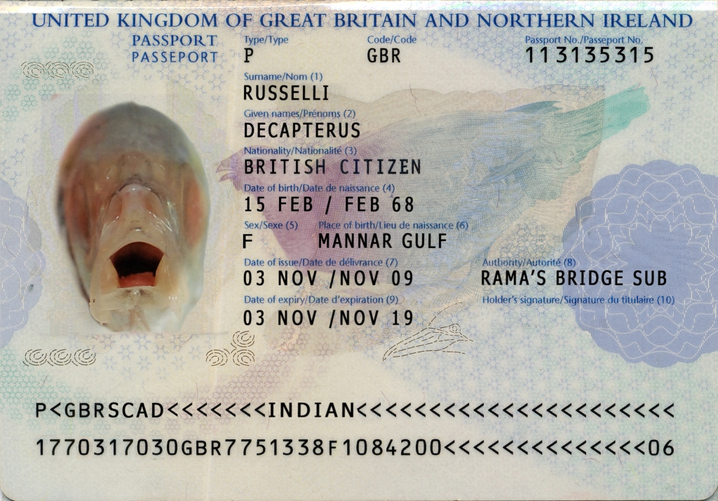 Fish Passports